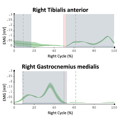 Normality indices included