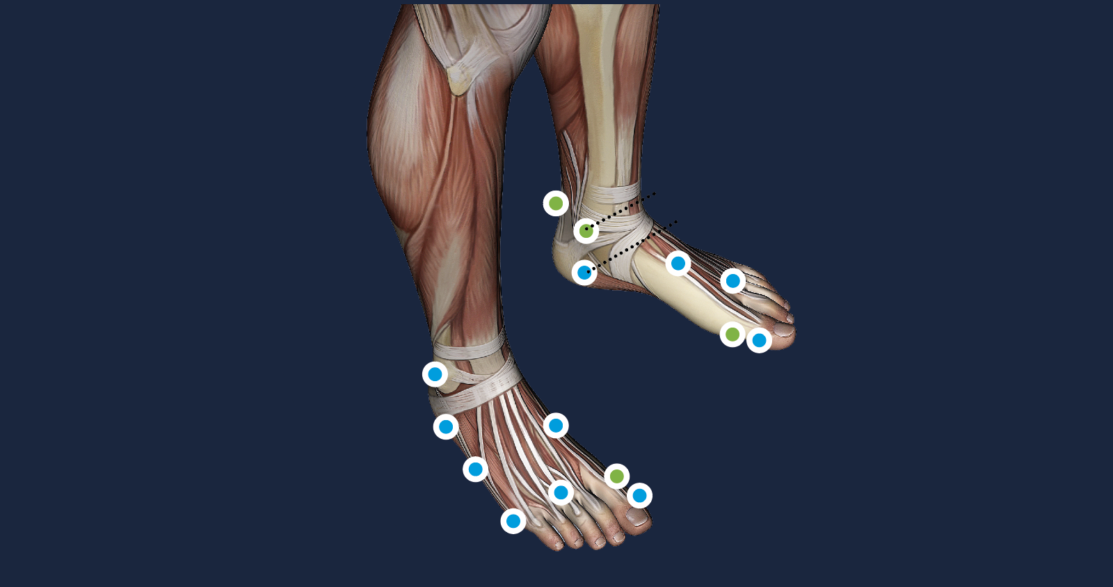 Sport Protocols