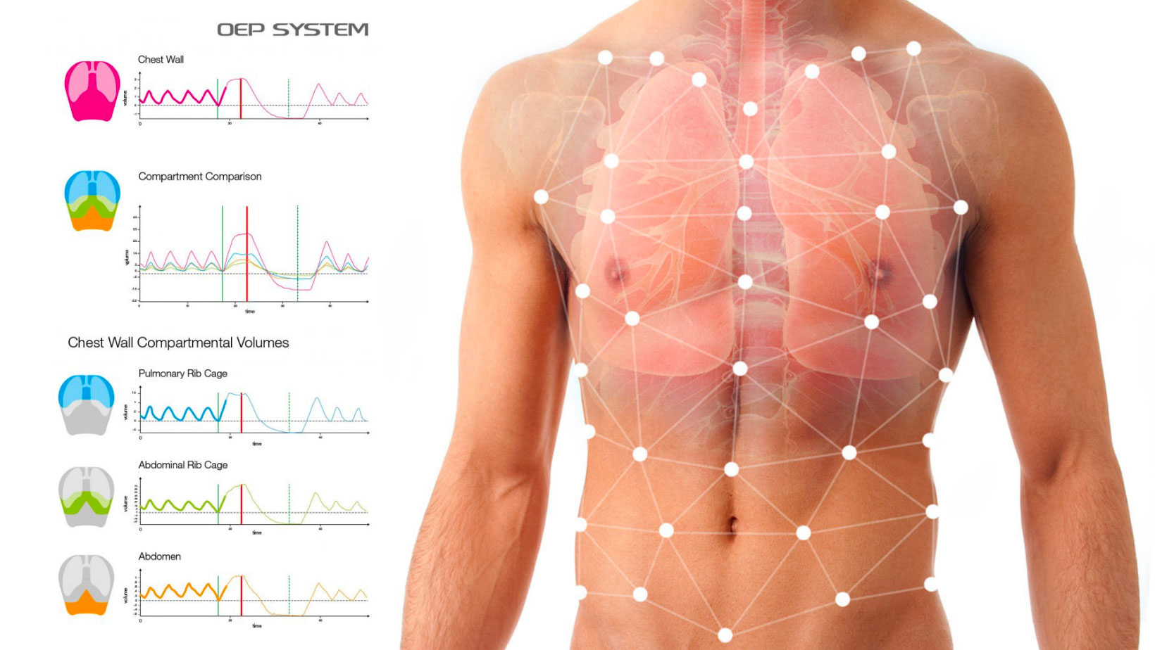 VIRUS PANDEMIC: the importance of respiratory function tests